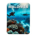 Suche nach riff magnete Schnorcheln