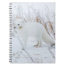 Suche nach churchill kleine notizbücher Alopex lagopus