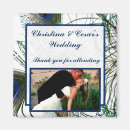Suche nach peacock magnete Bunt
