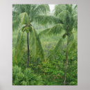 Suche nach tropischer regenwald poster Tropisches klima
