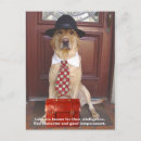 Suche nach labrador retriever postkarten Tierfreund