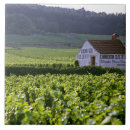 Suche nach weinberg fliesen Fruchtbar