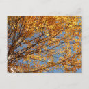 Suche nach ahornblatt postkarten Herbst