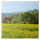 Suche nach großbritannien fliesen England