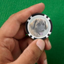 Suche nach löwe poker chips Niedlich