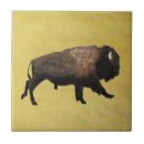 Suche nach bison fliesen Tierwelt