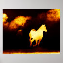 Suche nach schwarze pferde poster Rennen