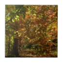 Suche nach herbstlaub fliesen Natur