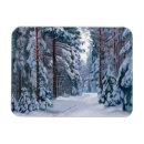Suche nach schneebedeckte bäume magnete Wald