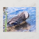 Suche nach effekte postkarten Fotografie