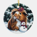 Suche nach guinea pig ornamente Generativitätsinhalt