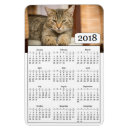 Suche nach katzen kalender magnete Haustiere
