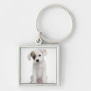 Suche nach zucht accessoires Tiere
