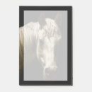 Suche nach schwarzes pferd post it Tier