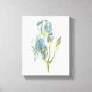 Suche nach iris leinwandbilder Pflanze