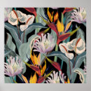 Suche nach strelitzia poster Blume
