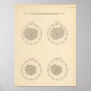 Suche nach diagram poster States