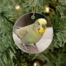 Suche nach parkett ornamente Haustier