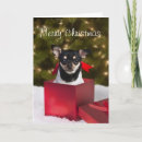 Suche nach chihuahua feiertagskarten Weihnachtskarte