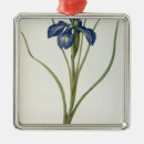 Suche nach iris ornamente Botanisch