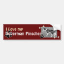 Suche nach pinscher autoaufkleber Welpe