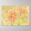 Suche nach gerbera blume poster Griechen