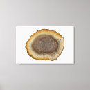 Suche nach querschnitt leinwandbilder Naturwissenschaften