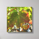 Suche nach weinberg leinwandbilder Weinreben