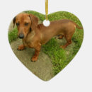 Suche nach würstchen ornamente Hunde