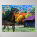 Suche nach rottweiler hund poster Natur