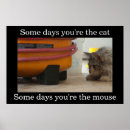 Suche nach katze und maus poster Lustig