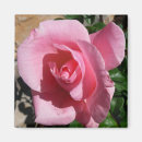 Suche nach garten blume magnete Jede person