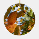 Suche nach herbst blätter ornamente Bunt