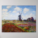 Suche nach windmühlen poster Tulpen