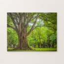 Suche nach indien puzzle Landschaft