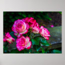 Suche nach rote und weiße rose poster Jede person