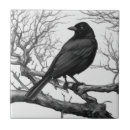 Suche nach schwarze krähe fliesen Amsel