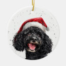Suche nach pudel ornamente Hunde