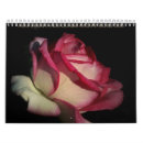 Suche nach rose kalender Farben