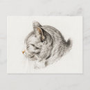 Suche nach skizze postkarten Illustration