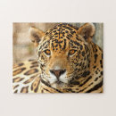 Suche nach jaguar puzzle Wildkatze