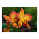 Suche nach blühende orchideen postkarten Orange