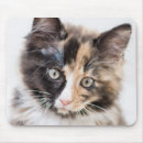 Suche nach entzückend mousepads Niedlich