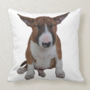 Suche nach bullterrier kissen Für alle