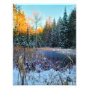 Suche nach walden teich poster Schnee
