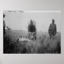 Suche nach eingeborene poster Laterne