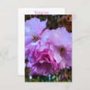 Suche nach kirschblütenbaum einladungen Natur