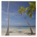 Suche nach fidschi fliesen Strand