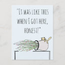 Suche nach lustige entschuldigung postkarten Katze