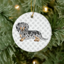 Suche nach dachshund ornamente Jede person